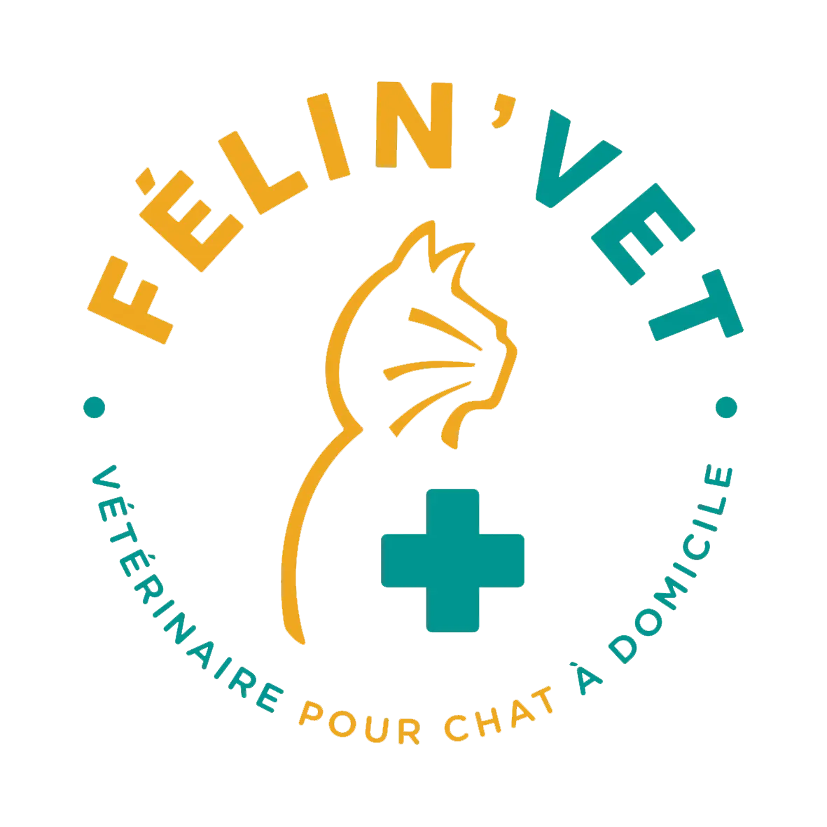 Voir le site de Félin'Vet 